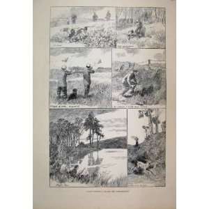  1889 Days Shooting Buchan Aberdeenshire Animals Print 