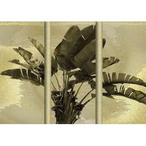  Palm Fronds   tryptych by Alfred Gockel 36x28