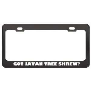 Got Javan Tree Shrew? Animals Pets Black Metal License Plate Frame 