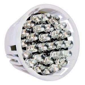  Little Giant LED B LED Replacement Bulb (566224): Home 