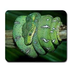  Snake Large Mousepad mouse pad Great Gift Idea Office 