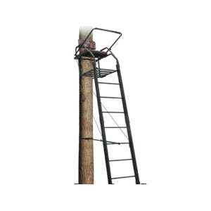  Big Dog 21 Ladder Treestand