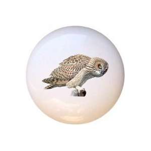  Birds Short eared Owl Drawer Pull Knob: Home Improvement