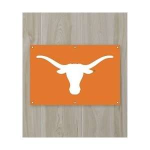  Texas Longhorns 2 x 3 Fan Banner: Sports & Outdoors