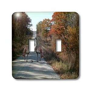   Trip in the Autumn   Light Switch Covers   double toggle switch: Home