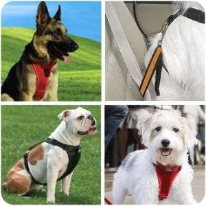 Kurgo Tru fit Smart Auto Travel Dog Safety Harnesses  