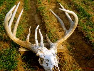 at bigkansasbucks com dirt road outfitters our number one goal is to 