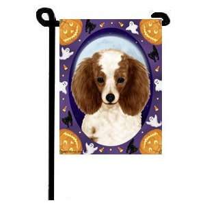    Poodle Toy Red White Halloween Garden Flag: Everything Else