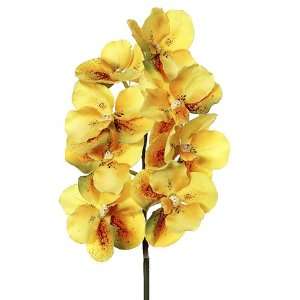   Pack of 6 Artificial Yellow Vanda Orchid Flower Sprays: Home & Kitchen