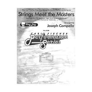  Strings Meet the Masters Musical Instruments