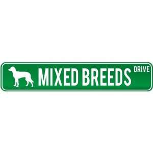  New  Mixed Breeds Drive  Street Sign Dog