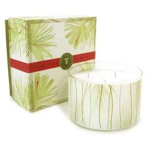   Thymes Frasier Fir Large Multi Wick Aromatic Candle   17 oz.: Beauty
