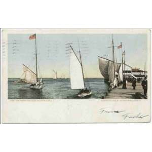  Reprint Pier at the Inlet, Atlantic City, N.J 1903 1904 