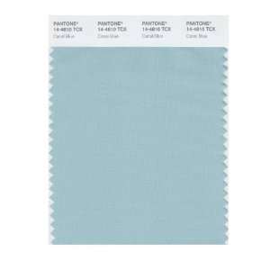   PANTONE SMART 14 4810X Color Swatch Card, Canal Blue: Home Improvement