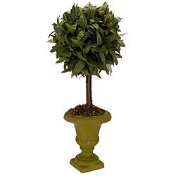 Silk Mixed Olive Leaf Topiary and Urn  
