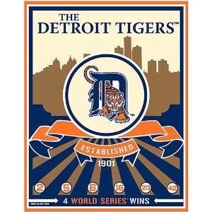   Detroit Tigers Limited Edition Screen Print: Sports & Outdoors