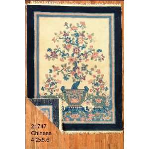    4x5 Hand Knotted Chinese Chinese Rug   42x56