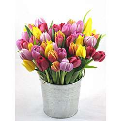 Pre order) Mothers Day Bucket of Tulips  Overstock
