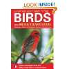  Bird Sounds of Madagascar An Audio Guide to the Islands 