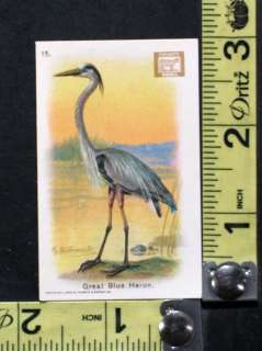 Vintage Dwights Soda New Series of Birds No. 15 Great Blue Heron 