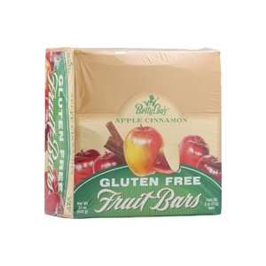   Gluten Free Fruit Bars Apple Cinnamon    12 Bars: Health & Personal