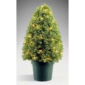 National Tree Company LBX 300 42 42 Inch Boxwood Tree with 100 Clear 
