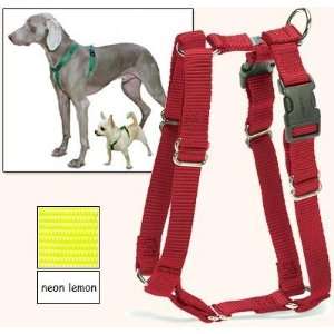 Fit Dog Harness, 5 Way Adjustability for a Perfect Fit (Neon Lemon, X 