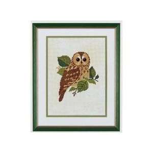  Owl Counted Cross Stitch Kit: Arts, Crafts & Sewing