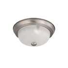   Home Package 11 Inch Flush Dome with Frosted Glass, Brushed Nickel