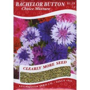  Bachelor Button (Annual) Patio, Lawn & Garden