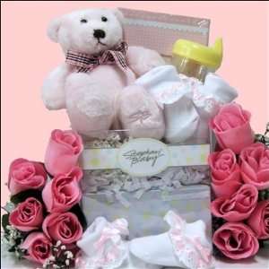  Stork Delivery Baby Gift Basket Sale Baby