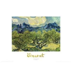  Vincent Van Gogh   Landscape With Olive Trees Canvas: Home 