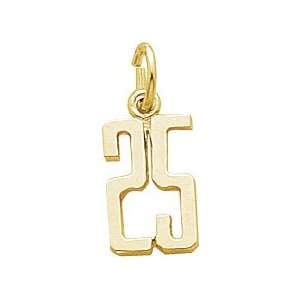  2 Digit Any Number Charm, Gold Plated Silver Jewelry