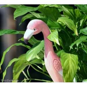  Carved Wood Hand Painted Flamingo Back Scratcher