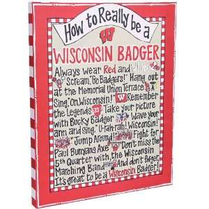 Wisconsin Badgers 20 x 16 How To Canvas  Sports 