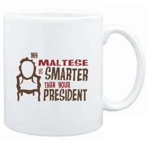   MY Maltese IS SMARTER THAN YOUR PRESIDENT   Dogs