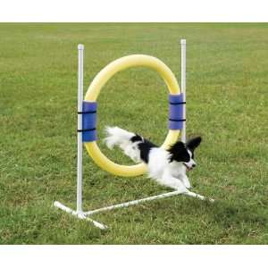  PetSafe Ring Jump, Part No. PDT0011033 (Product Group 