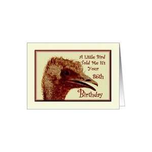  Birthday / 86th / Ostrich /Humorous Card Toys & Games