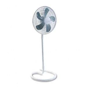   Oscillating Floor Fan, Metal and Plastic, White: Office Products