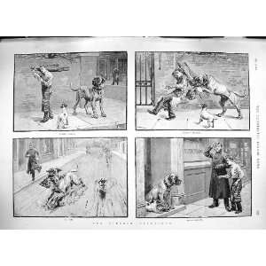    1889 SIRLOIN PURLOINED BUTCHER DOG THIEF POLICE MAN