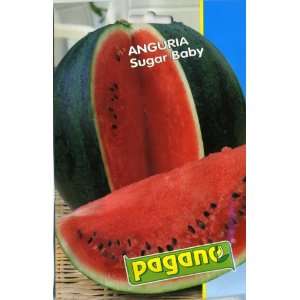  Pagano 3877 Watermelon (Anguria) Sugar Baby Seed Packet 