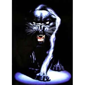 Empire 15990 Raubkatzen   Black Panther Stalking   Plakat Poster   61 