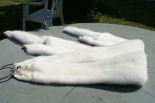 Mink pair w feet taxidermy tanned white fur pelts/skins  