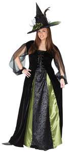 Goth Maiden Witch Plus Size Halloween Costume 16 24  