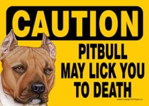 PIT BULL terrier tan Caution Sign fridge magnet  