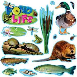  Pond Life Mini Bulletin Board Set: Toys & Games
