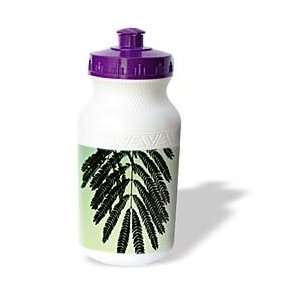   Photography Designs Nature Trees Leaves   Mimosa Leaf   Water Bottles