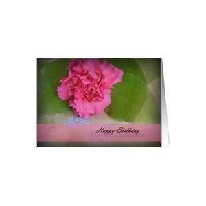  Happy Birthday, Pink Carnation Card Health & Personal 