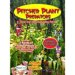    Pitcher Plant Predators Seed Pack Carnivorous 