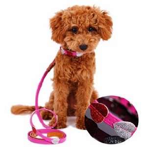   Dog Cat Collar & Leash Set   X Small/Fuchsia Pink: Pet Supplies